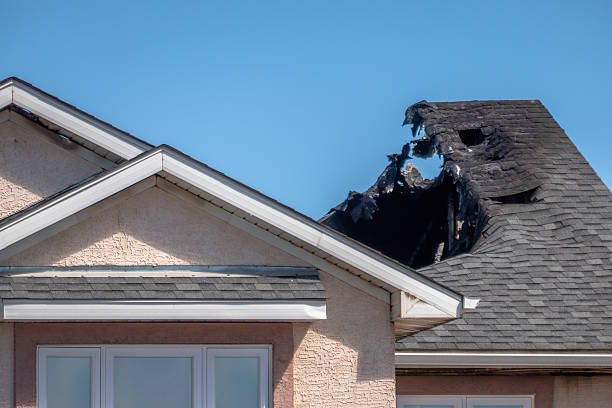 Top rated local Odor Removal specialists in Mantua, VA